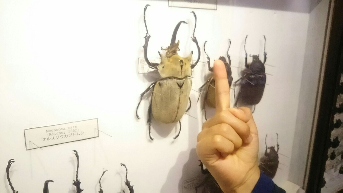 f:id:flyfisher417:20190926124739j:plain