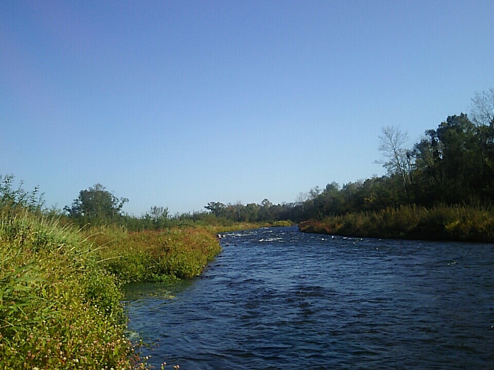 f:id:flyfisher417:20190930125549j:plain