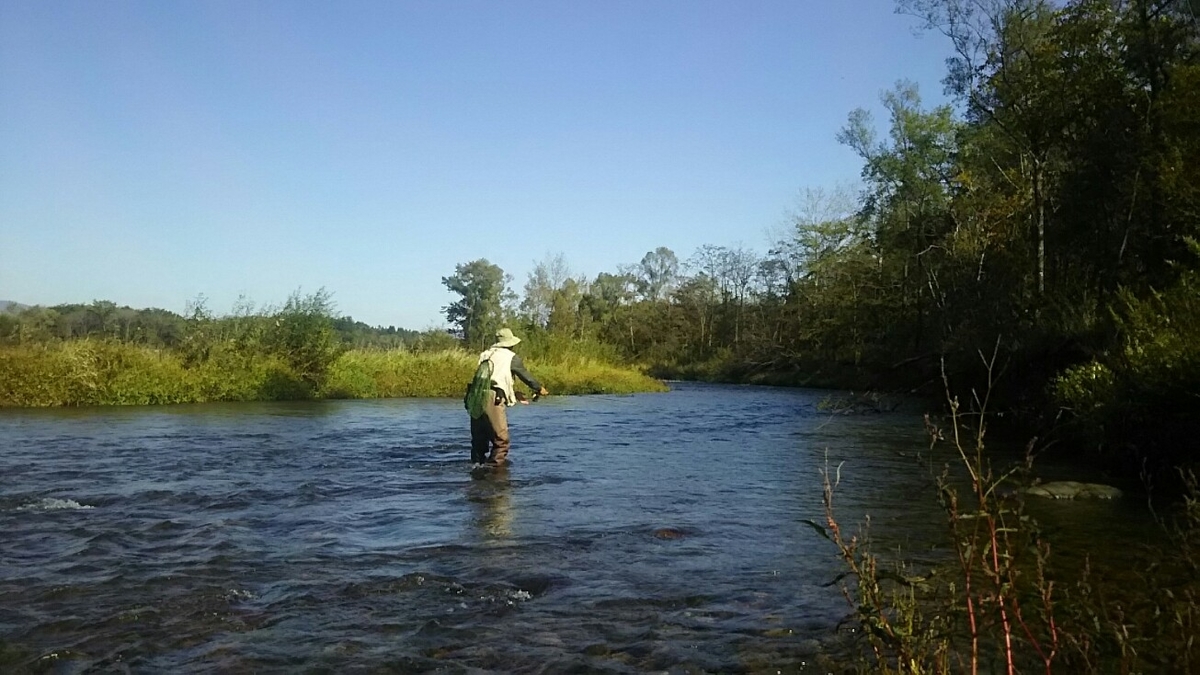 f:id:flyfisher417:20190930202111j:plain