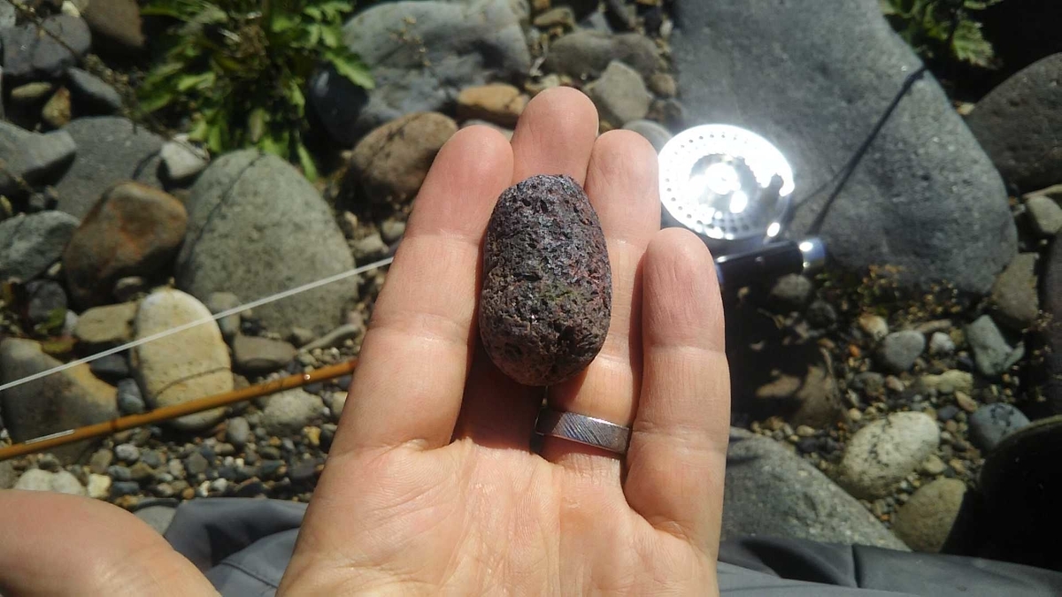 f:id:flyfisher417:20191001102405j:plain