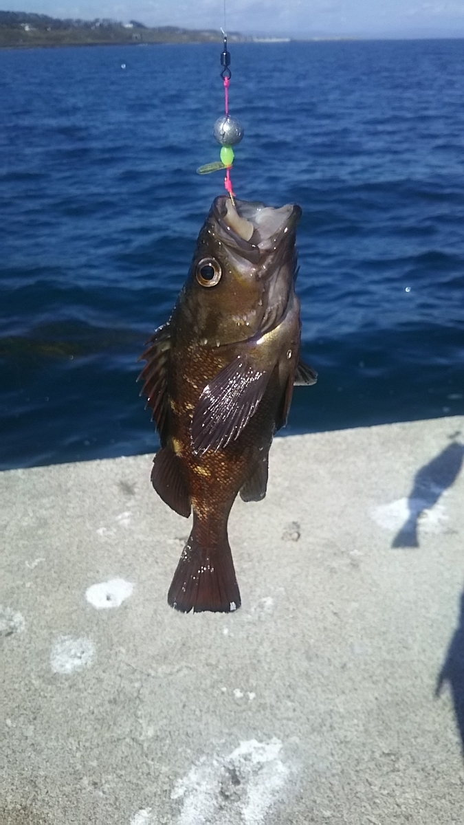 f:id:flyfisher417:20191025213118j:plain