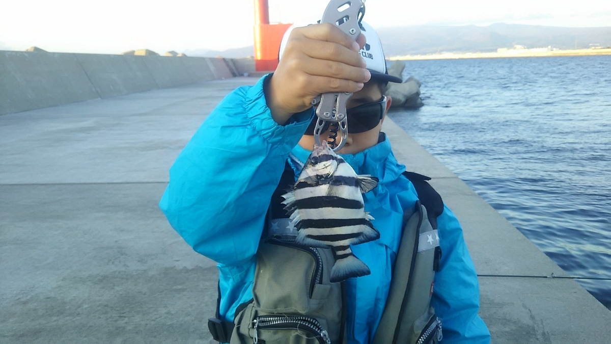 f:id:flyfisher417:20191025214829j:plain