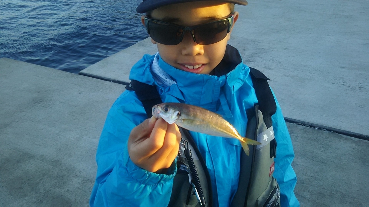 f:id:flyfisher417:20191025214913j:plain
