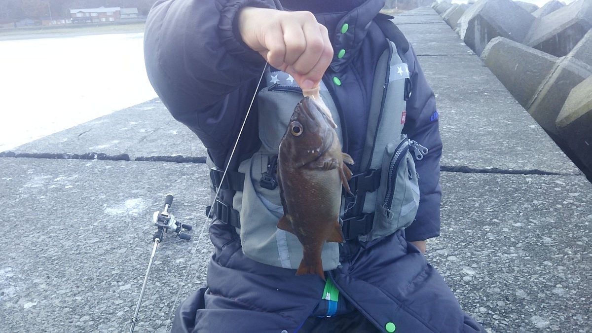 f:id:flyfisher417:20191111174720j:plain f:id:flyfisher417:20191111174720j:plain