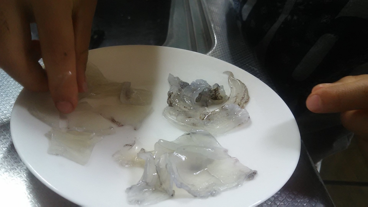 f:id:flyfisher417:20191111175209j:plain f:id:flyfisher417:20191111175209j:plain