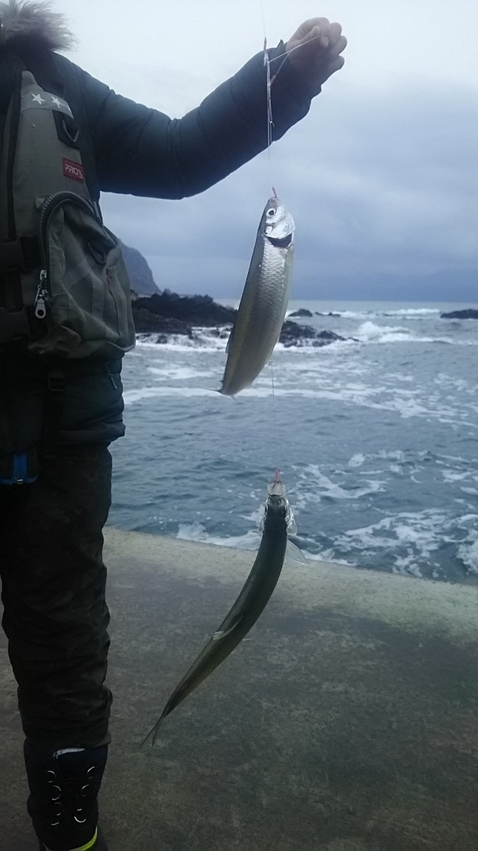 f:id:flyfisher417:20191214224613j:plain