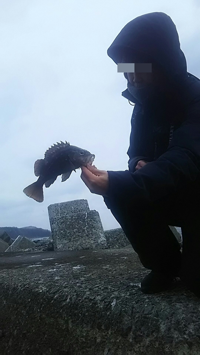 f:id:flyfisher417:20191214225545j:plain