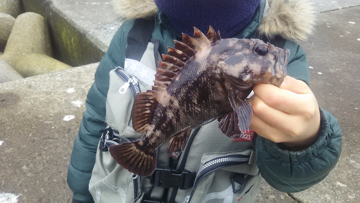 f:id:flyfisher417:20191214230119j:plain