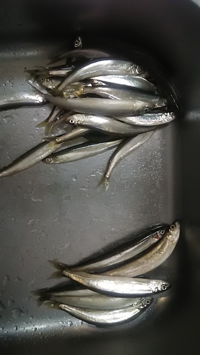 f:id:flyfisher417:20191214230518j:plain