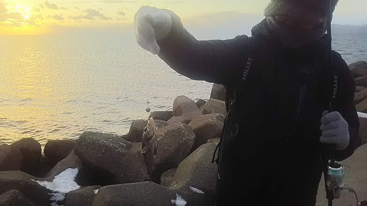 f:id:flyfisher417:20191230201634j:plain