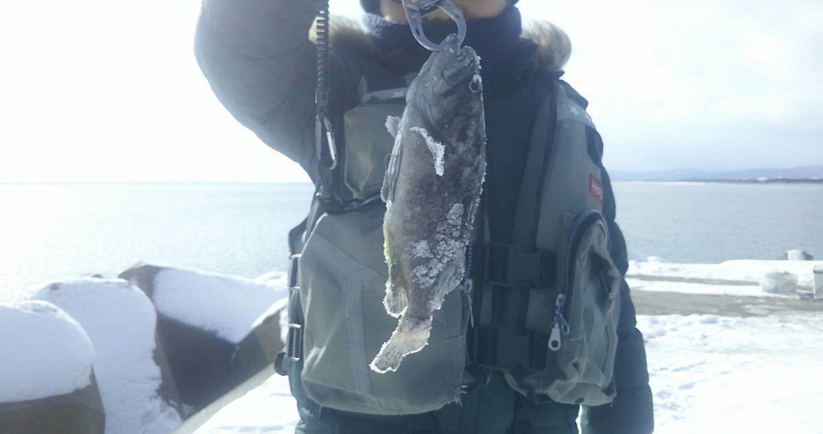 f:id:flyfisher417:20200104153017j:plain f:id:flyfisher417:20200104153017j:plain