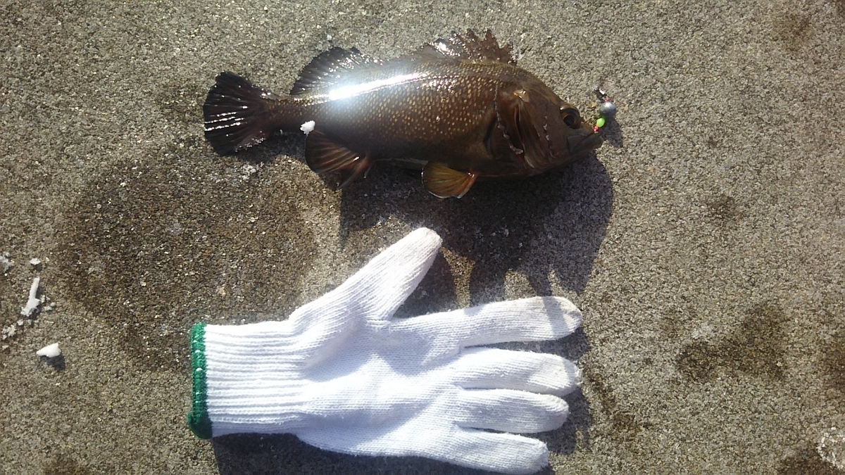 f:id:flyfisher417:20200104153228j:plain f:id:flyfisher417:20200104153228j:plain