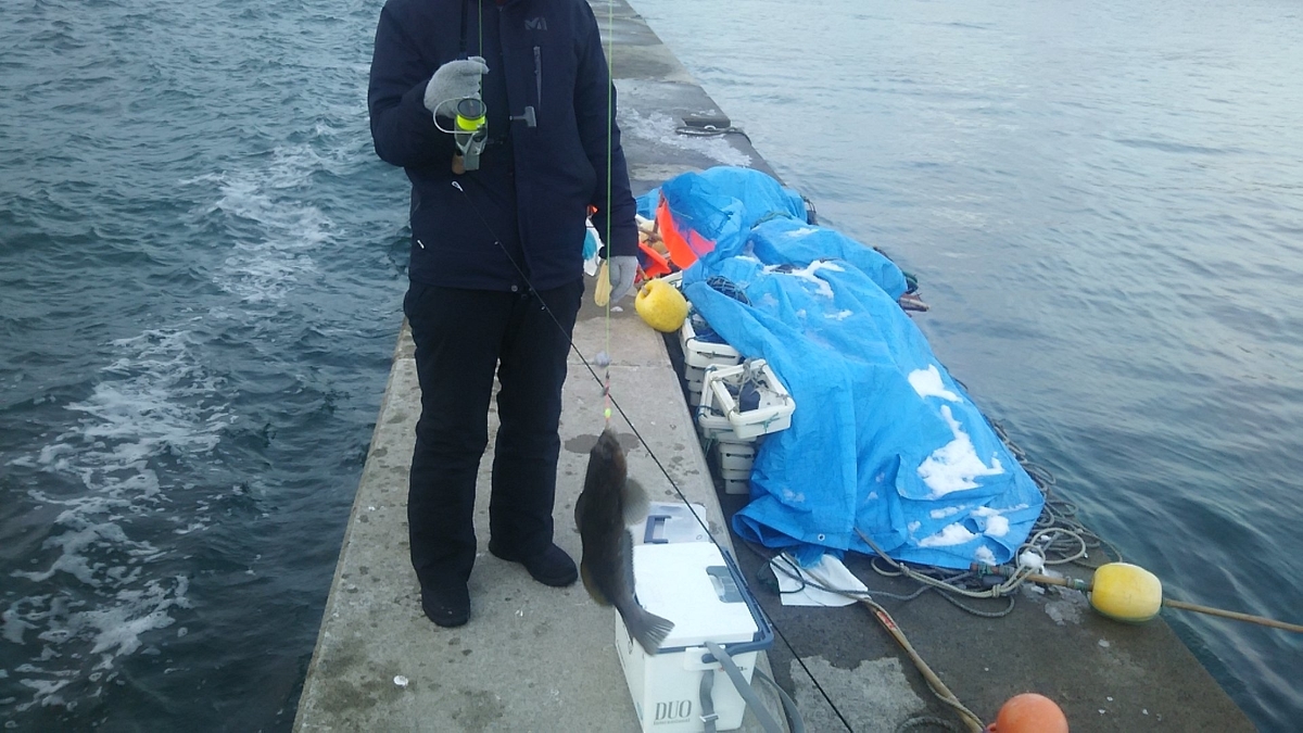 f:id:flyfisher417:20200104154151j:plain f:id:flyfisher417:20200104154151j:plain