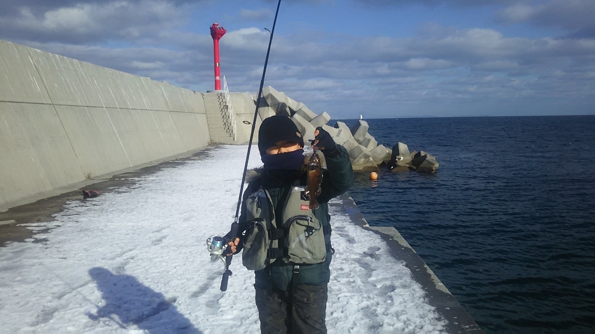 f:id:flyfisher417:20200106181114j:plain