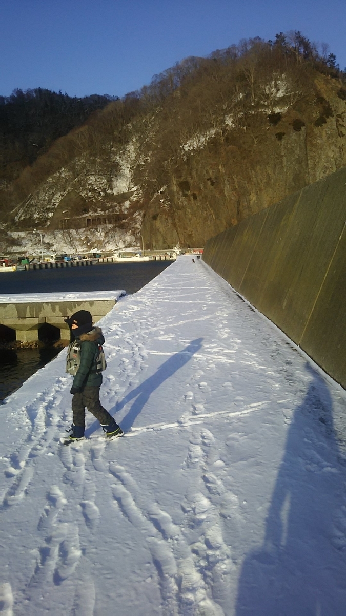 f:id:flyfisher417:20200107120943j:plain