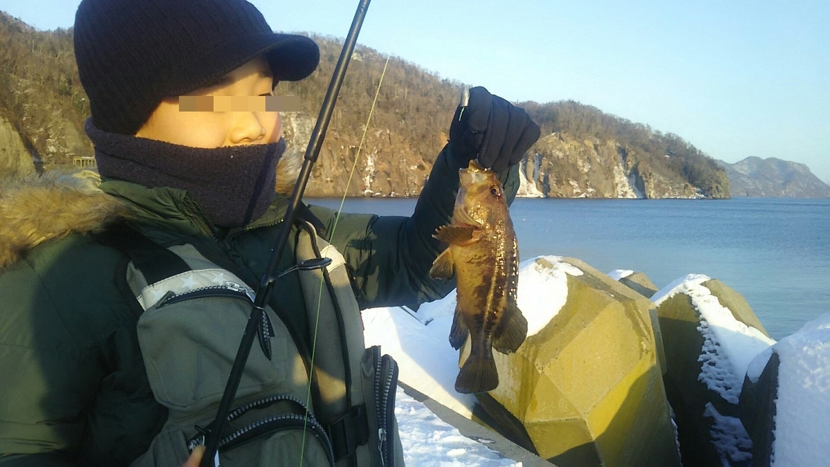 f:id:flyfisher417:20200107124932j:plain