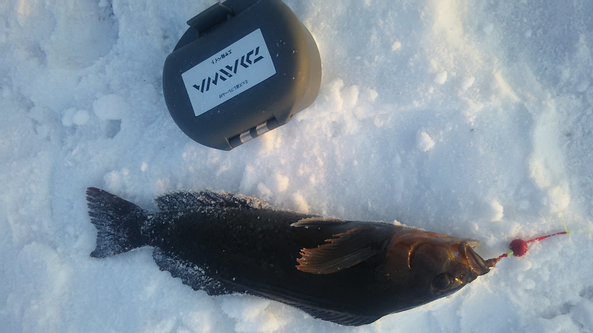f:id:flyfisher417:20200107181118j:plain