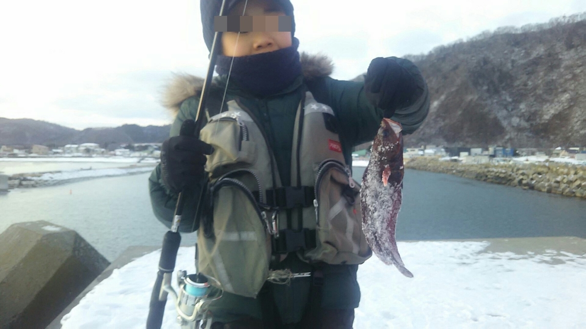 f:id:flyfisher417:20200107181644j:plain
