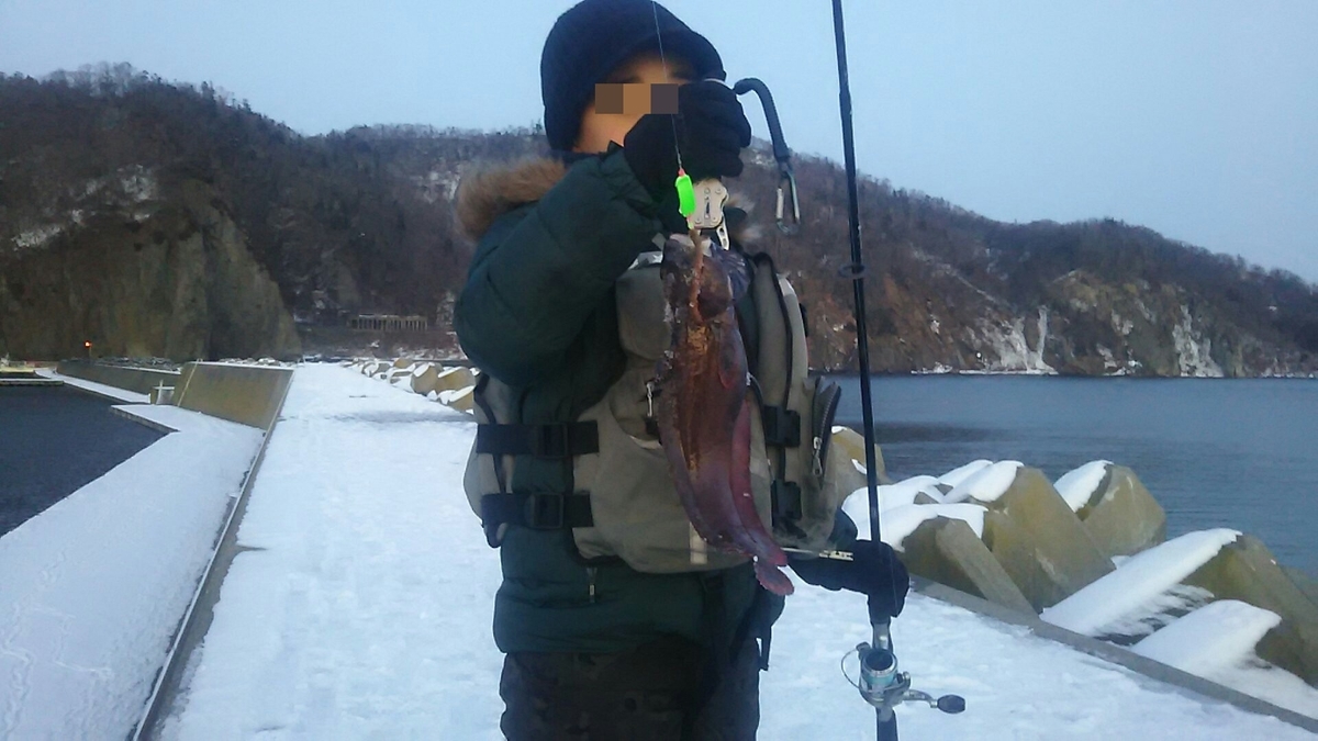 f:id:flyfisher417:20200107190106j:plain