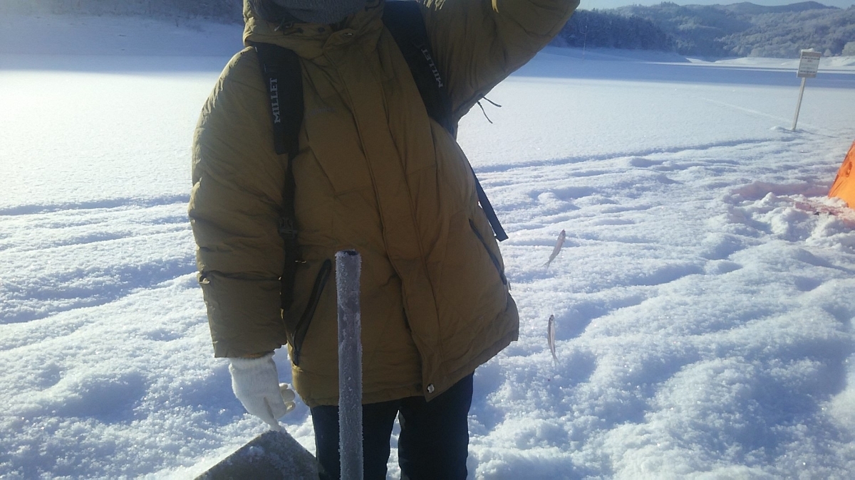 f:id:flyfisher417:20200119112753j:plain