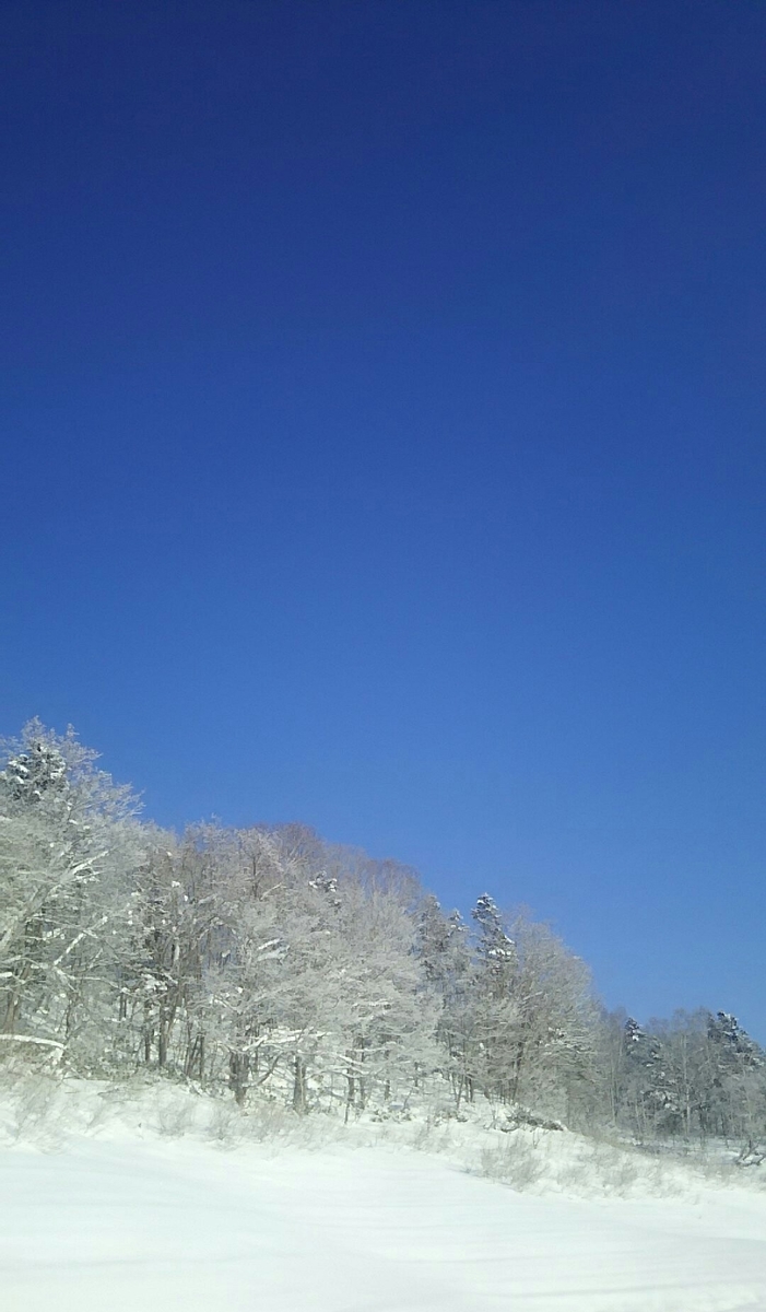 f:id:flyfisher417:20200120120534j:plain f:id:flyfisher417:20200120120534j:plain