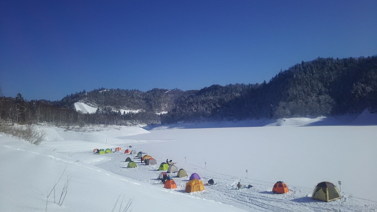 f:id:flyfisher417:20200120121314j:plain