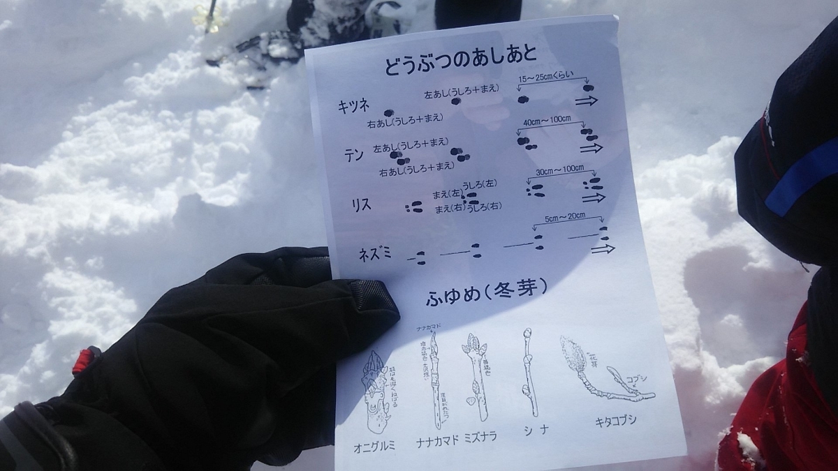 f:id:flyfisher417:20200208222129j:plain f:id:flyfisher417:20200208222129j:plain