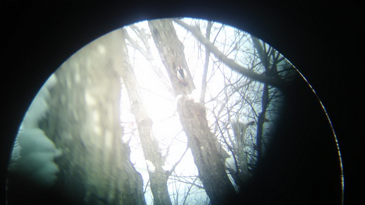 f:id:flyfisher417:20200208224026j:plain f:id:flyfisher417:20200208224026j:plain