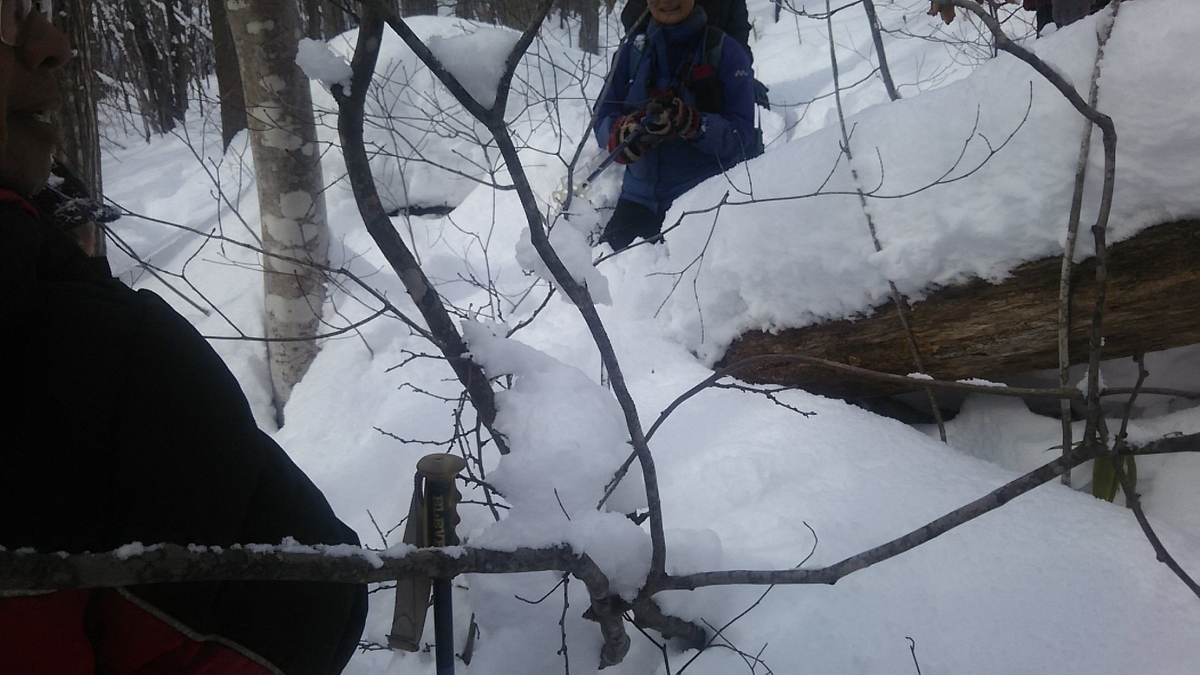 f:id:flyfisher417:20200208224125j:plain f:id:flyfisher417:20200208224125j:plain