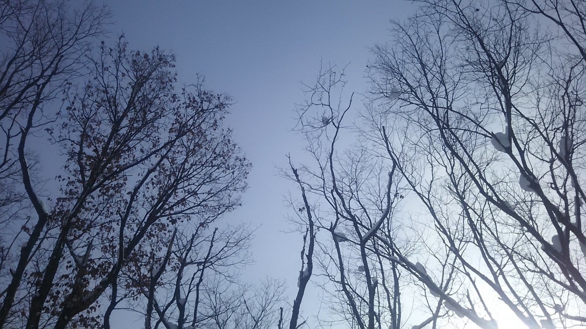 f:id:flyfisher417:20200208231144j:plain f:id:flyfisher417:20200208231144j:plain
