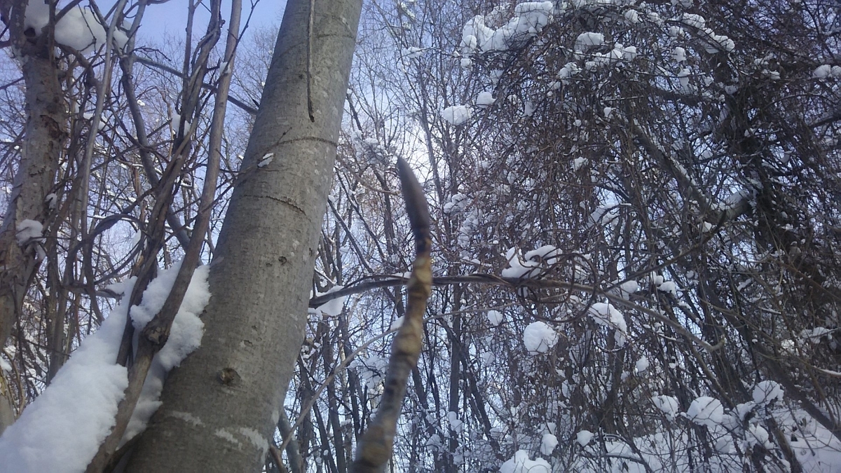 f:id:flyfisher417:20200208234758j:plain f:id:flyfisher417:20200208234758j:plain