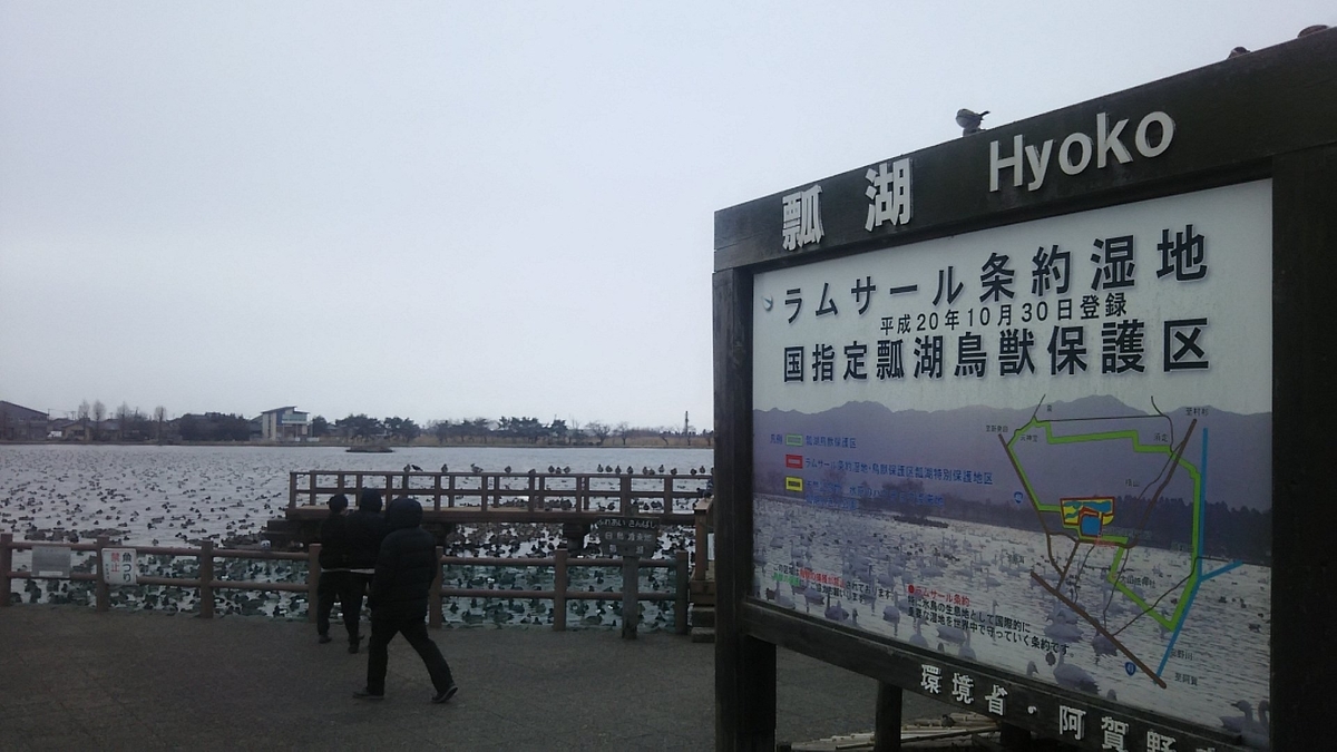 f:id:flyfisher417:20200221172644j:plain