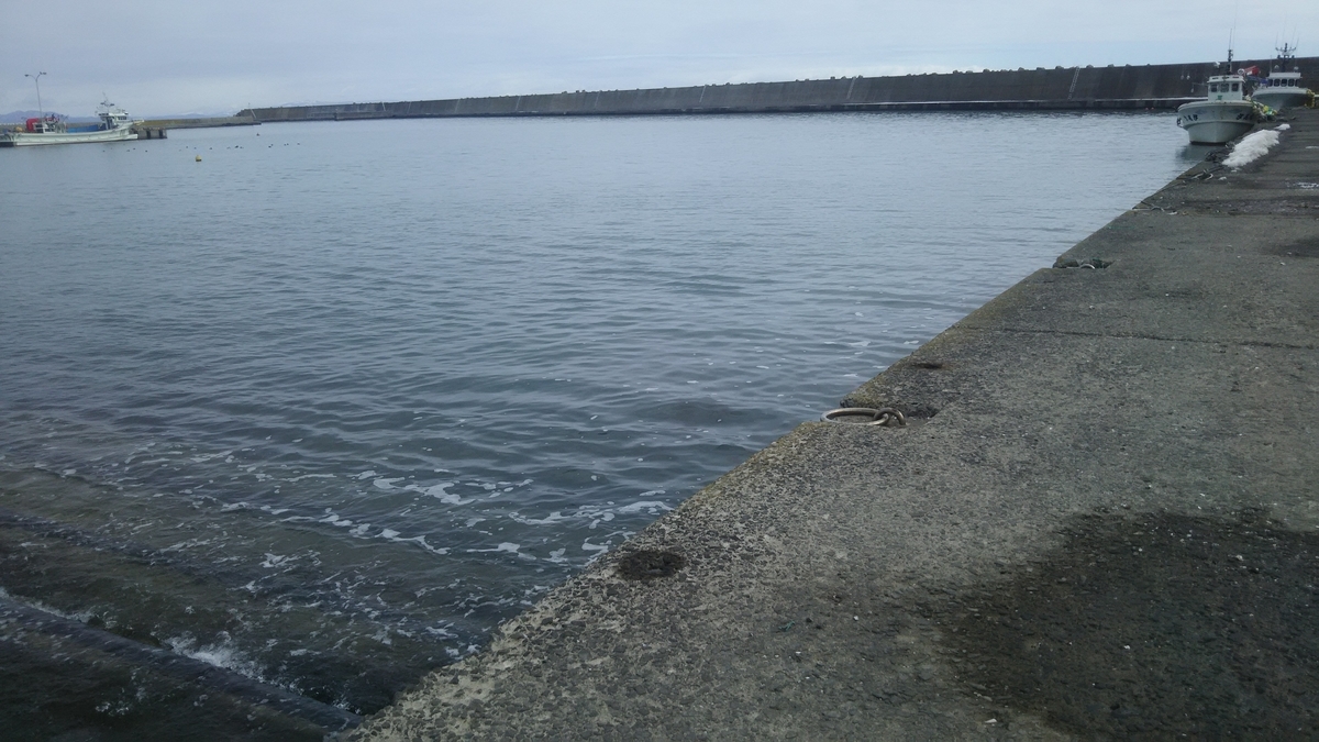 f:id:flyfisher417:20200307110452j:plain
