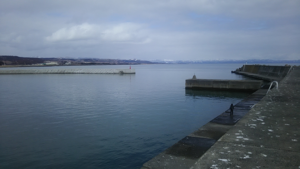 f:id:flyfisher417:20200307112105j:plain