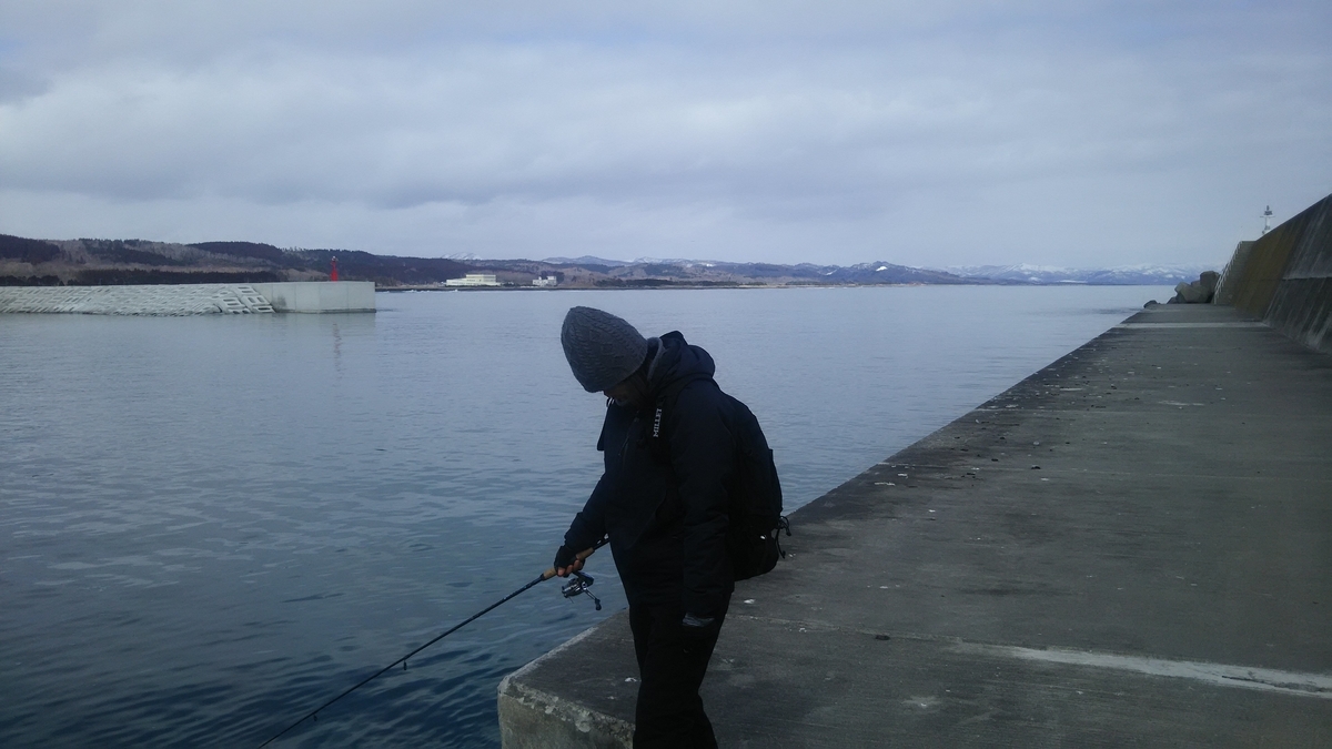 f:id:flyfisher417:20200307115012j:plain