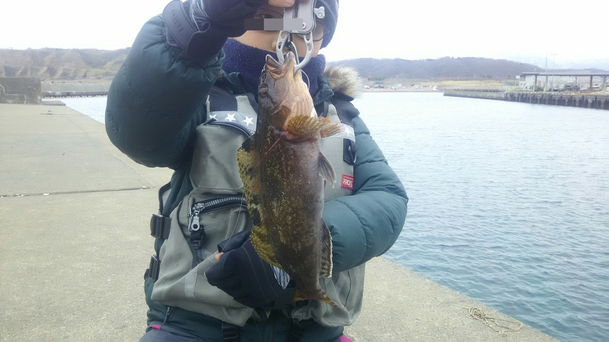 f:id:flyfisher417:20200308103628j:plain