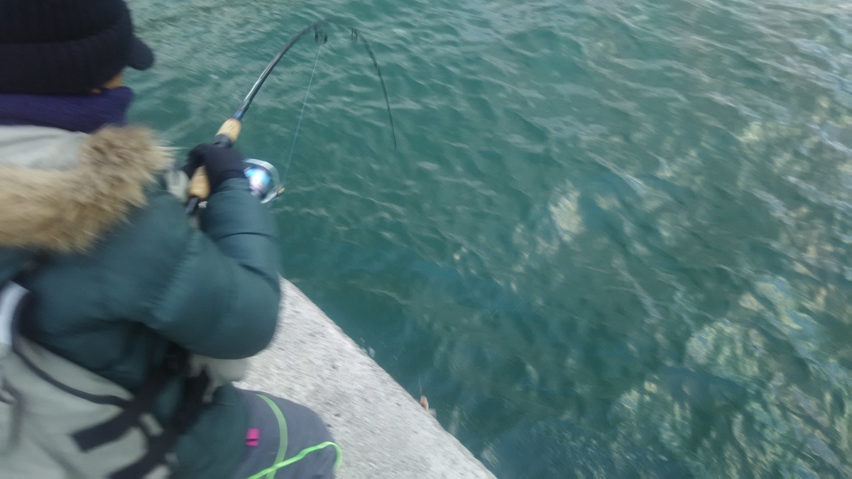 f:id:flyfisher417:20200314064128j:plain f:id:flyfisher417:20200314064128j:plain