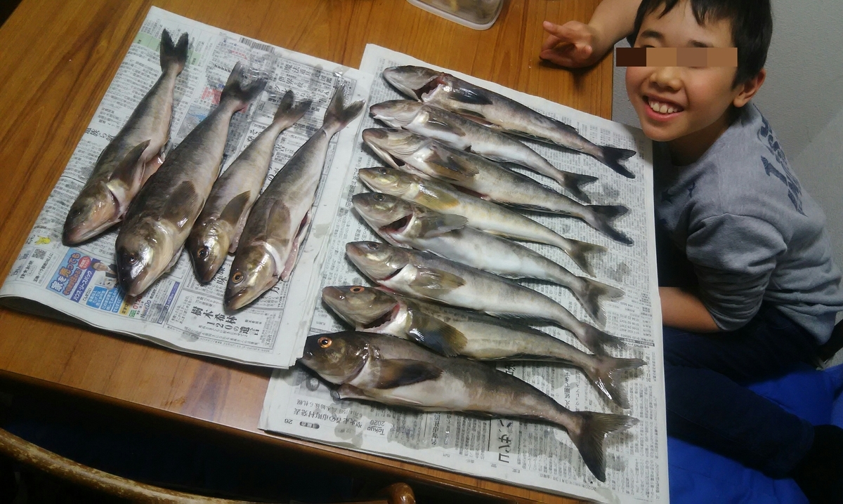 f:id:flyfisher417:20200316180218j:plain f:id:flyfisher417:20200316180218j:plain