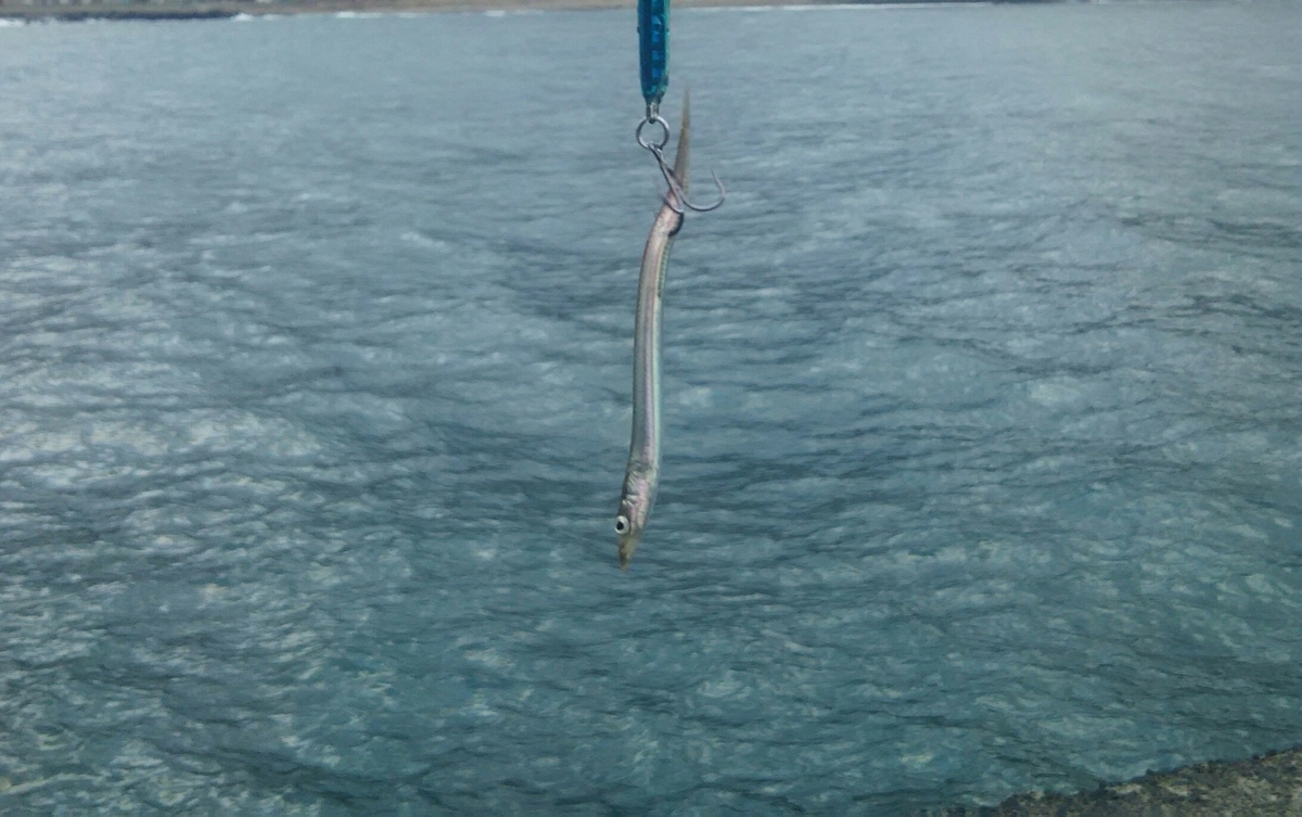 f:id:flyfisher417:20200316204617j:plain f:id:flyfisher417:20200316204617j:plain