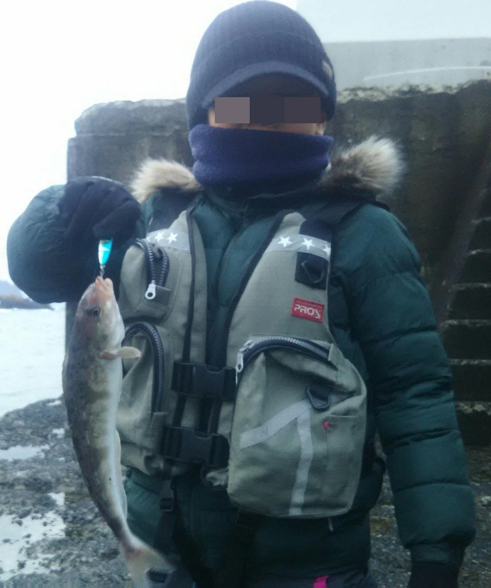 f:id:flyfisher417:20200316204644j:plain f:id:flyfisher417:20200316204644j:plain