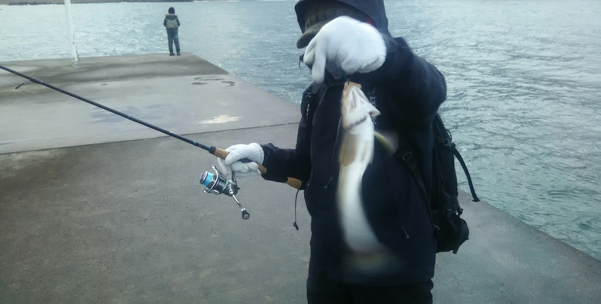 f:id:flyfisher417:20200316204659j:plain f:id:flyfisher417:20200316204659j:plain