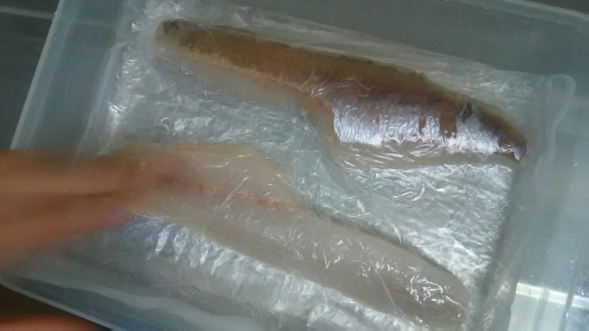 f:id:flyfisher417:20200322210735j:plain