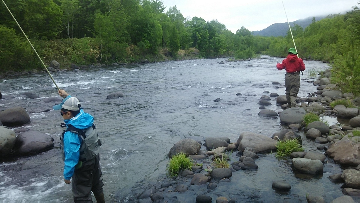 f:id:flyfisher417:20200608122532j:plain f:id:flyfisher417:20200608122532j:plain