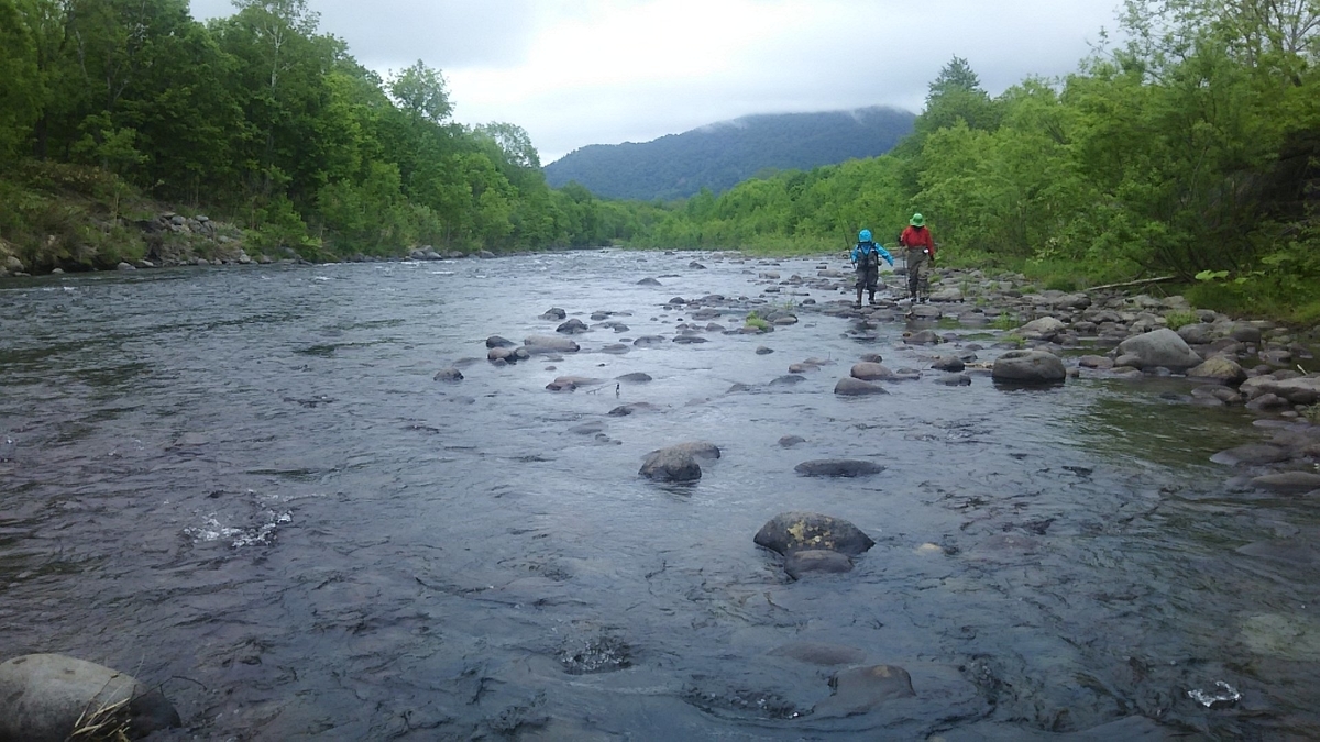 f:id:flyfisher417:20200608122746j:plain f:id:flyfisher417:20200608122746j:plain