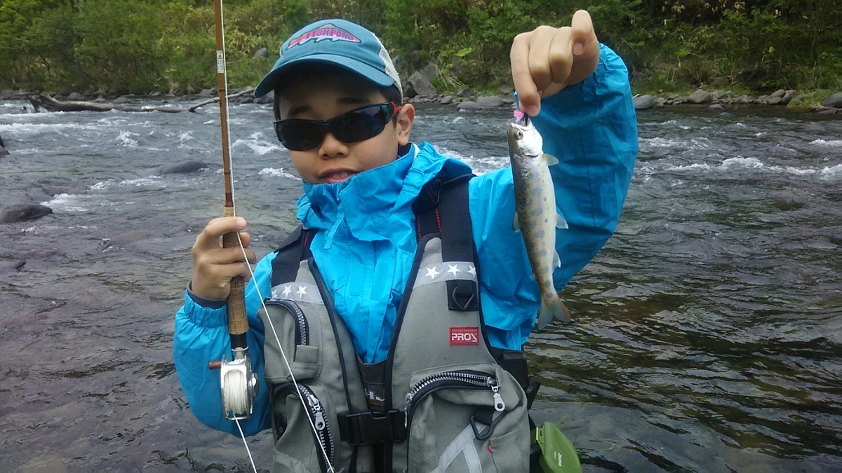 f:id:flyfisher417:20200608122926j:plain f:id:flyfisher417:20200608122926j:plain