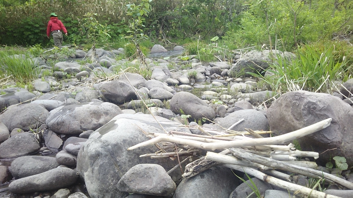 f:id:flyfisher417:20200608124635j:plain f:id:flyfisher417:20200608124635j:plain
