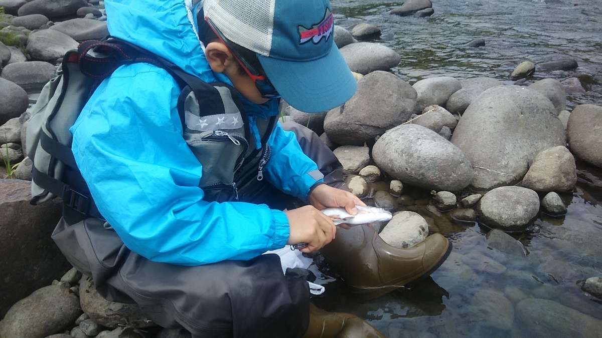 f:id:flyfisher417:20200608124715j:plain f:id:flyfisher417:20200608124715j:plain