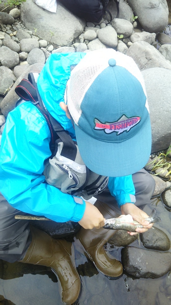 f:id:flyfisher417:20200608124953j:plain f:id:flyfisher417:20200608124953j:plain