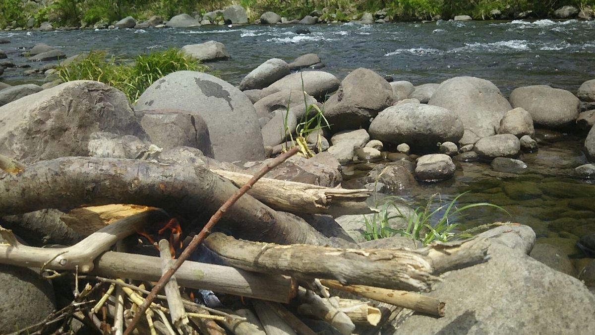 f:id:flyfisher417:20200608125138j:plain f:id:flyfisher417:20200608125138j:plain
