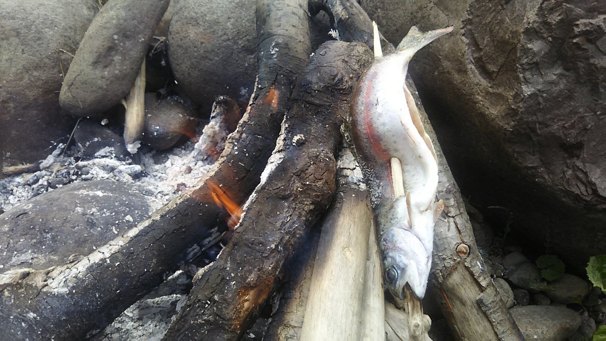 f:id:flyfisher417:20200608125258j:plain f:id:flyfisher417:20200608125258j:plain